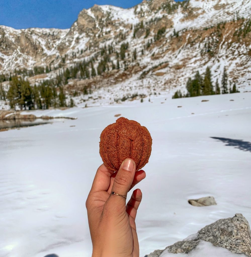 Health Gingerbread Protein Cookie Cakes on the trail at Mirror Lake