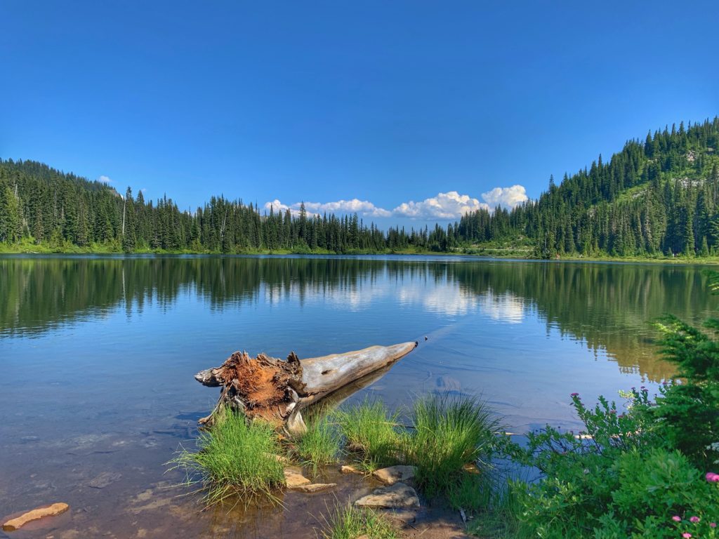 Camping Tips: Reflective Lake